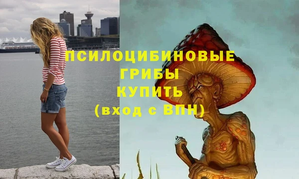 прущие крисы Белокуриха