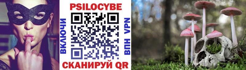 как найти закладки  Ленск  Галлюциногенные грибы мицелий 